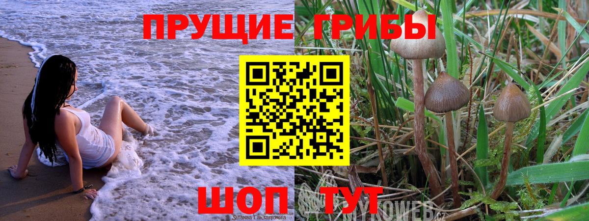 Псилоцибиновые грибы прущие грибы Зеленодольск